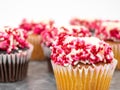 Tray Full of Vanilla and Chocolate Cupcakes Decorated with White Frosting and Red, White and Pink Sprinkles Royalty Free Stock Photo