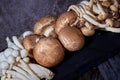 Mushrooms of the varieties Agaricus brunnescens, shimeji white, shimeji brown and pleurotus erynguii for a healthy meal Royalty Free Stock Photo