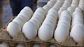 Tray of Organic, Fresh Eggs at a Farmers` Market Royalty Free Stock Photo