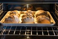 tray in an oven with rising bread loaves