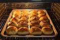 tray in an oven with rising bread loaves