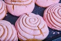 Tray of pink conchas Mexican sweet bread pastry baked good seashell swirl frosting pattern