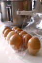 Tray of raw eggs and a mixing bowl Royalty Free Stock Photo