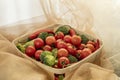 Tray of seasonal vegetables and cherry tomatoes with raw broccoli and red hot chili peppers Royalty Free Stock Photo