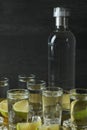 Tray with shots and bottle of vodka on wooden background Royalty Free Stock Photo