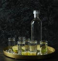 Tray with shots and bottle of vodka on wooden table Royalty Free Stock Photo