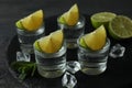 Tray with shots of vodka, lime, mint and ice Royalty Free Stock Photo