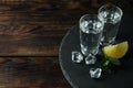 Tray with shots of vodka on wooden background Royalty Free Stock Photo