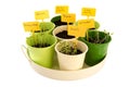 Tray sowed herbs Royalty Free Stock Photo