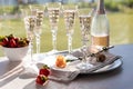 A tray of sparkling rose wine in crystal flute glasses with bright sunlight streaming in.