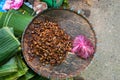 Tray of stink bugs, Laos