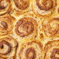 Tray of strawberry quark rolls Royalty Free Stock Photo
