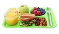 Tray with tasty food and juice on white background. School lunch Royalty Free Stock Photo