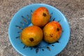 Tray of three Mangoes Royalty Free Stock Photo