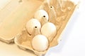 Tray with chicken eggs. Royalty Free Stock Photo