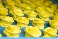A tray of Yellow Buttercream Roses