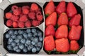 Trays with berries, fresh strawberries, ripe blueberries and raspberries Royalty Free Stock Photo