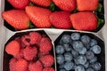 Trays with berries, fresh strawberries, ripe blueberries and raspberries Royalty Free Stock Photo