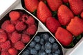 Trays with berries, fresh strawberries, ripe blueberries and raspberries Royalty Free Stock Photo