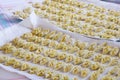 Trays with vegetarian tortelli