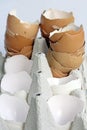 trays of white and brown eggs Royalty Free Stock Photo
