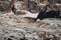 Tre cime di lavaredo cabin mountain in the rocks , view from monte piana, dolomites italy