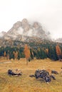 Tre Cime di Lavaredo seen from the famous Ã¢â¬ÅThree Peaks ViewÃ¢â¬ÂÃÂÃâÃÂ situated near Lago di Landro.