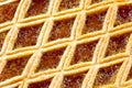 Treacle tart Royalty Free Stock Photo