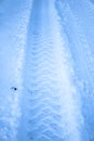 Tread texture of car wheels snow. Winter road in January, December. Rural area and background of tractor tracks in the snow Royalty Free Stock Photo