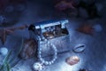 Treasure chest lying at the bottom of the sea. Royalty Free Stock Photo