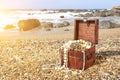 Treasure chest on the ocean beach Royalty Free Stock Photo