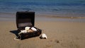 a treasure chest on a sandy beach.treasure with seashells and jewels found in the sea Royalty Free Stock Photo