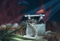 Treasure chest underwater Royalty Free Stock Photo