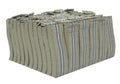 Treasure. Huge bundle of american dollars