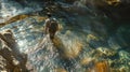 Treasure hunter wading through a crystal-clear river with a metal detector in hand Royalty Free Stock Photo