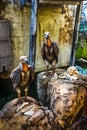 Treasure Hunters ride in Universal Studios Singapore