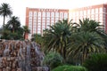 Treasure Island Hotel and Casino, Treasure Island Hotel and Casino, arecales, palm tree, plant, tree