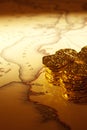 Treasure Map and Doubloons Royalty Free Stock Photo