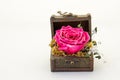 Treasured trinkets isolated on a clear background