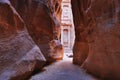 The Treasury Al Khazneh of Petra Ancient City with Camel