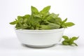 Deliciously Fresh Peppermint in a White Bowl - Unwind with the Aromatic Scent!