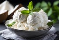 Vanilla ice cream with mint leaves in a bowl, selective focus Royalty Free Stock Photo