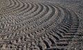 Treated field with traces of tractors. Royalty Free Stock Photo