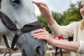 Treating from depression with the help of a horse.