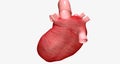 The Treatment for Dilated Cardiomyopathy