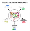 Treatment of dysbacteriosis in the intestines. Colon. Bacteria pathogenic flora. Infographics. Vector illustration