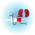 Treatment for internal organ concept. Liver cancer ,Sad unhealthy sick kidney, syringe, stethoscope.