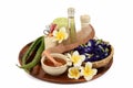 Treatments hair spa with aloe vera, Butterfly pea, coconut oil and honey. Royalty Free Stock Photo