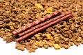 Treats for cats meat sticks sausages against the background of dry food. Complete diet for adult cats Royalty Free Stock Photo