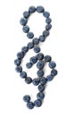 Treble clef made of bilberries on white background. Creative musical notes